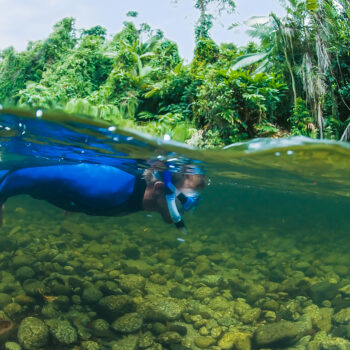daintree-rainforest-back-country-bliss-river-drift-snorkelling