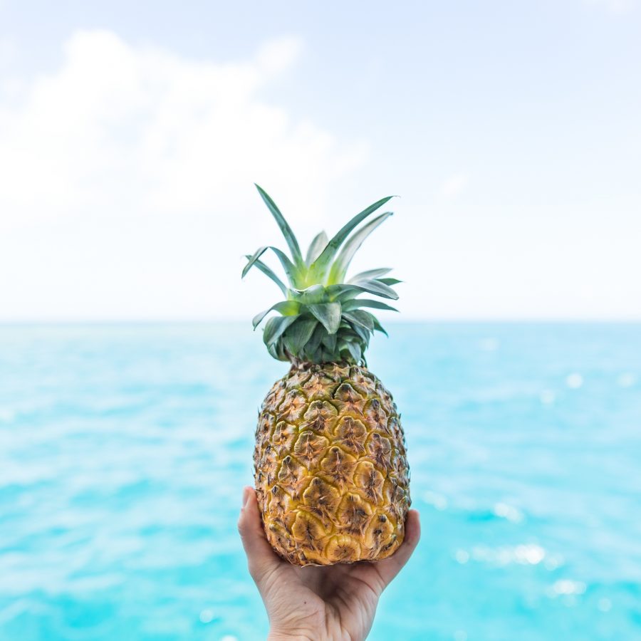 tropical-fruits-pineapple-in-hand-over-water-port-douglas